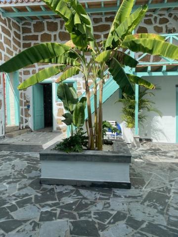 Hacienda De Las Indias, Cali Granadilla De Abona Εξωτερικό φωτογραφία